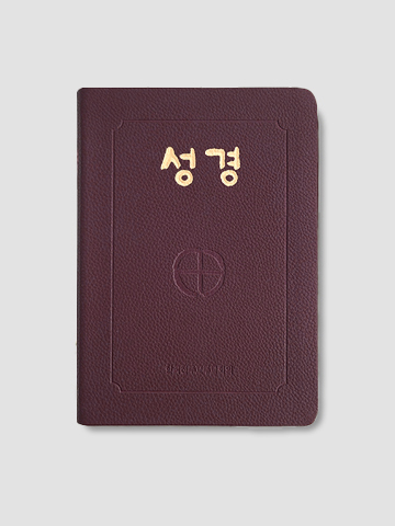 성경(46판2단색인/中/갈색/BB6-BH)