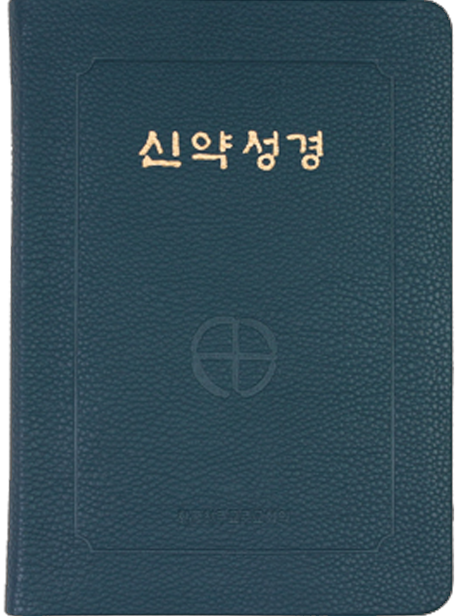 신약성경(46판전단/中/청색/NB6-AH)
