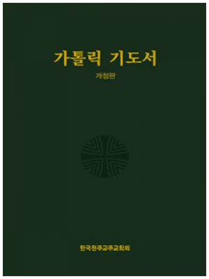 가톨릭기도서(개정판)46판(중)