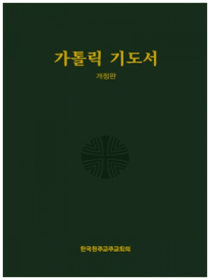 가톨릭기도서(개정판)신국판(대)
