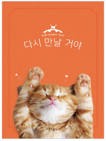 다시 만날 거야 - 고양이