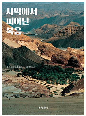 사막에서 피어난 복음