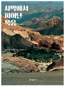 사막에서 피어난 복음