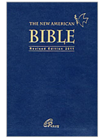 THE NEW AMERICAN BIBLE(FSP) 소