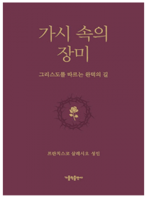 가시 속의 장미