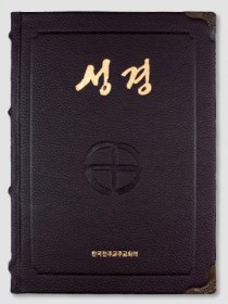 성경 고급형(46배판전단색인)