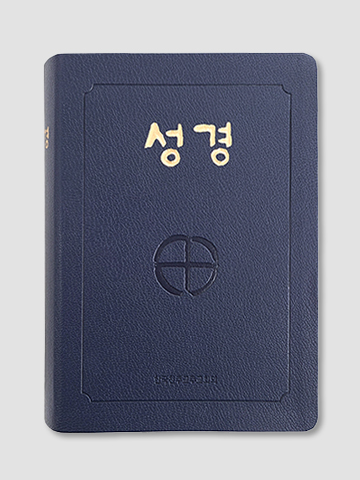 성경(대)-국판/2단/무지퍼(인상)
