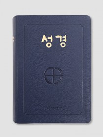 성경(대)-국판/2단/무지퍼(인상)