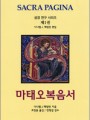 마태오복음서 (성경연구시리즈 제1권)