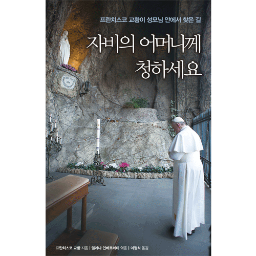 자비의 어머니께 청하십시오